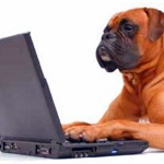 Online Pharmacy