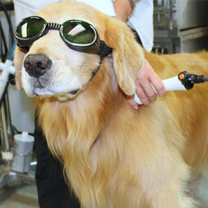 Laser Therapy